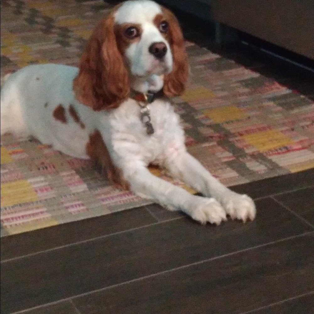 Meet your Posher, Sharon